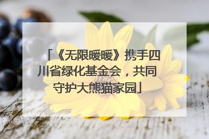 《无限暖暖》携手四川省绿化基金会，共同守护大熊猫家园